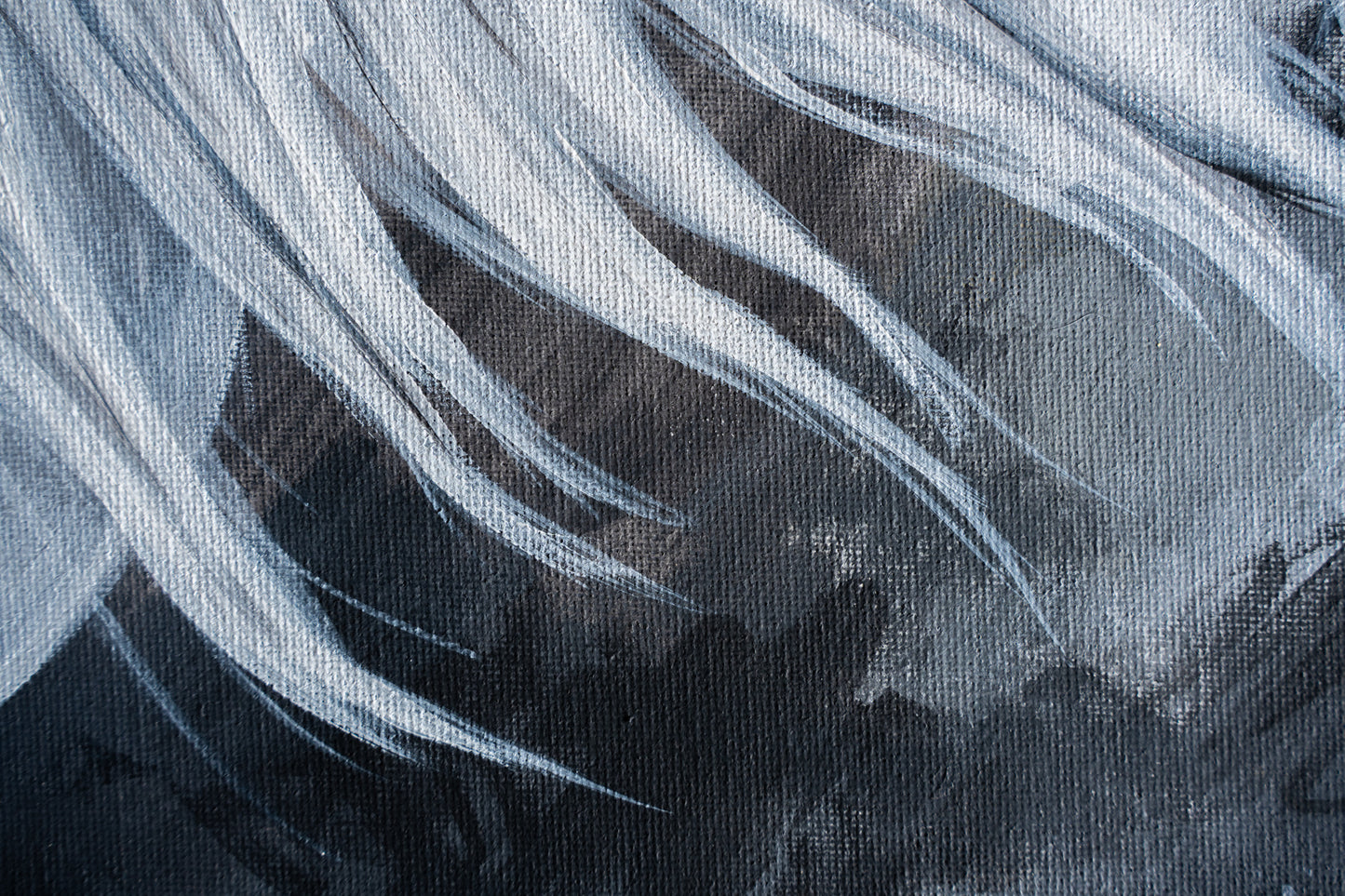 The Lace Mare — 8x10 Fine Art Print
